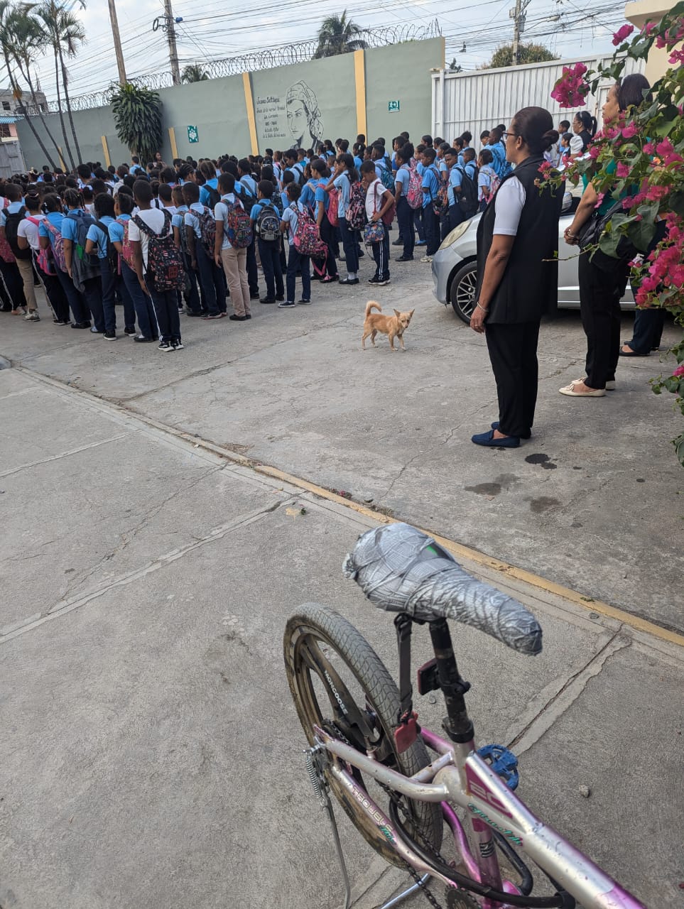 Izamiento de la bandera dominicana en el patio de Juana Saltitopa